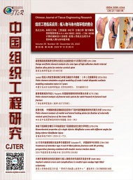 中国康复医学会主办的一本医学类杂志