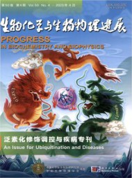 其前身为《高等y6b9英亚体育新手怎