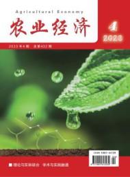 调研报告