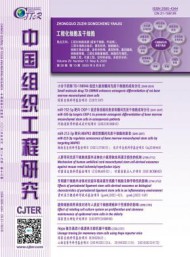 百家争鸣”的方针