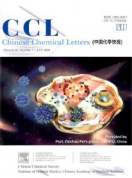 主要报道y6b9英亚体育新手怎么玩分